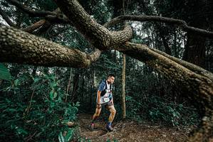 BIB: 
                            <button type="button" onclick="openModal(25705860)" class="btn btn-primary btn-sm float-right btn-popup" data-toggle="modal" data-target=".modal-high-quality">
                        <i class="fas fa-shopping-cart"></i> Add to Cart
                    </button>
                                            <button type="button" onclick="isThisMe(25705860, true)" class="btn btn-success btn-sm float-right btn-popup btn-isme hidden" data-toggle="tooltip" data-placement="bottom" title="นี่คือรูปของคุณใช่ไหม คลิกที่นี่เพื่อเอาเข้าอัลบั้ม">
                        <i class="fas fa-plus"></i> Add to album
                    </button>
                    <button type="button" onclick="isThisMe(25705860, false)" class="btn btn-warning btn-sm float-right btn-popup btn-isnotme hidden">
                        <i class="fas fa-ban"></i> Remove from album
                    </button>